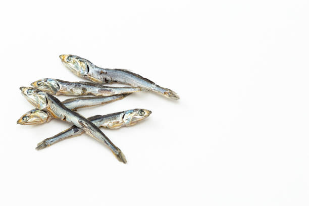 istock Dried sardines on a white background. 1884771482