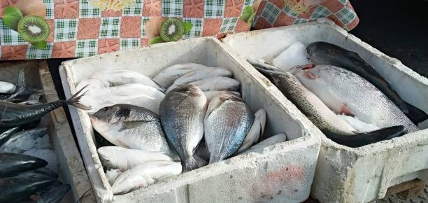 新鮮な魚は白い箱に入っています - fish fish market catch of fish market ストックフォトと画像