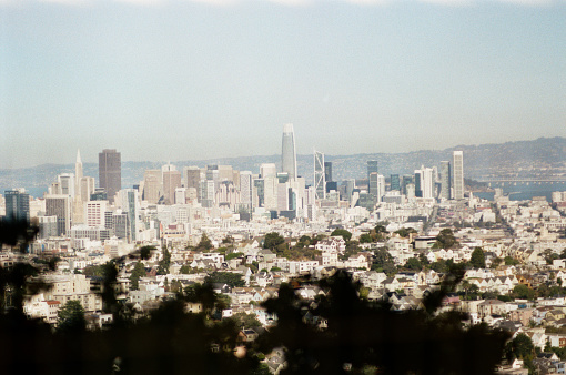 A San Francisco Skyline with trees in the foreground