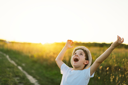 Portrait of a smiling little boy in a white T-shirt raising his hands up and playing and having fun on the field at sunset. Happy child, lifestyle. Products for children.