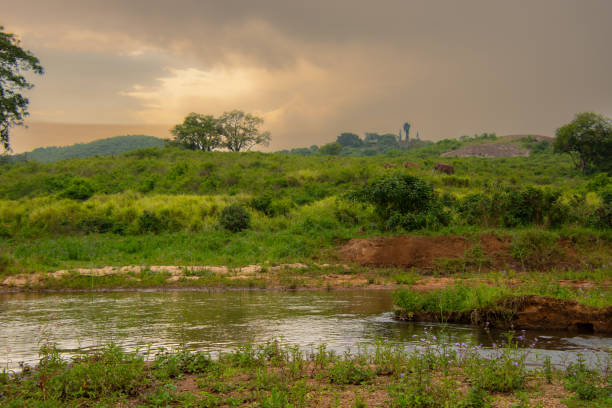 istock Pretty little river flowing through the savannah 1884838345