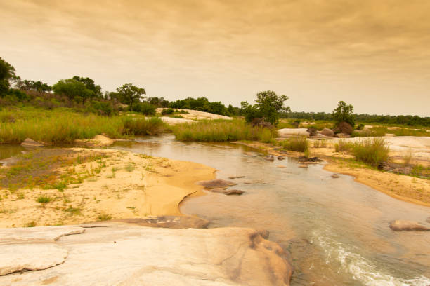 istock Pretty little dry river flowing through the savannah 1884845521