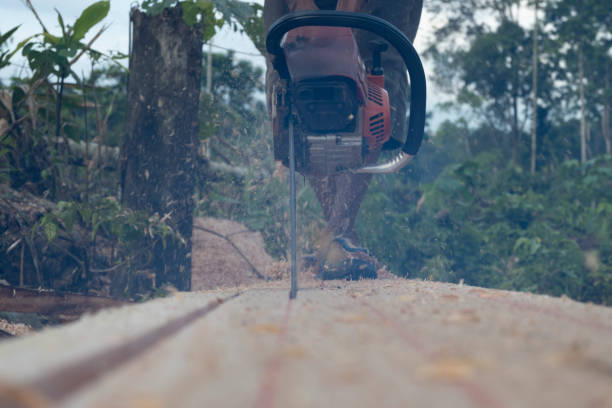 Close-up of a muscular man using a chainsaw to cut a thick log, with sawdust and wood chips flying in all directions. He is wearing a black T-shirt, white gloves, and clear safety goggles for protection. The scene takes place in a covered outdoor area with concrete block walls and stacked firewood in the background. The image provides copy space on the left side.