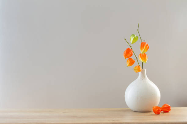 istock physalis in modern vase on wooden table 1884913102