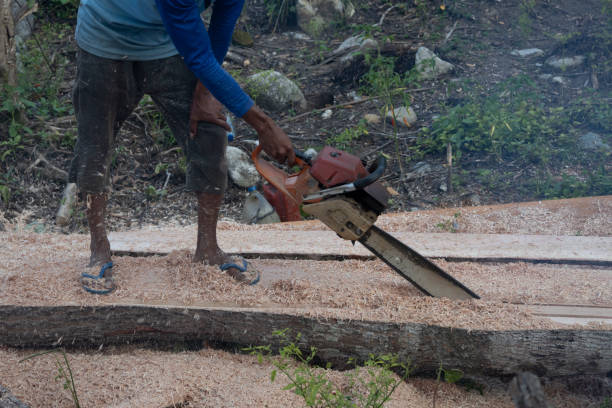 istock Carpenter Splitting Logs-Stock Photo 1884916947