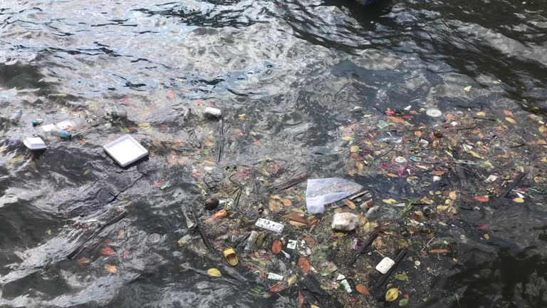 The problem of plastic in the ocean