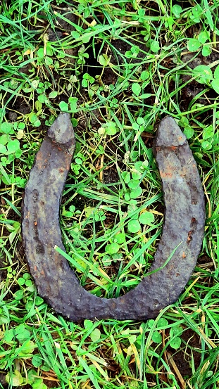 Old, rusty iron horseshoe with clovers, good luck symbol, Happy New Year, antique horseshoe, close up photo