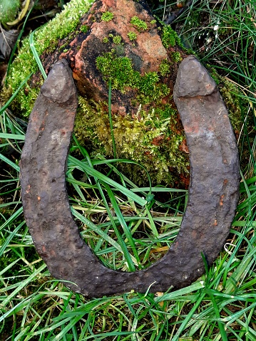 Old, rusty iron horseshoe with red brick and mosses, good luck symbol, Happy New Year, antique horseshoe, close up photo, sunshine, good morning