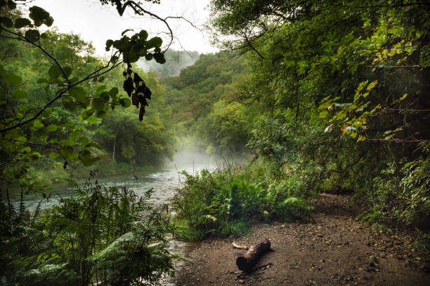 View of the Eume River as it passes through the Fragas do Eume Natural Park