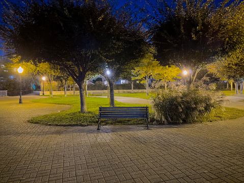 Empty bench in a park at nighttime