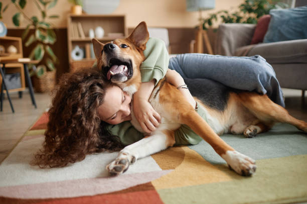 chica jugando con perro feliz tonteando en el suelo en casa - perro fotografías e imágenes de stock