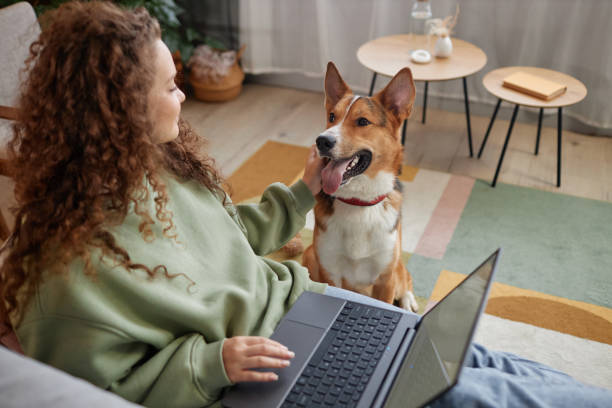 istock Girl Petting Cute Dog 1885088161