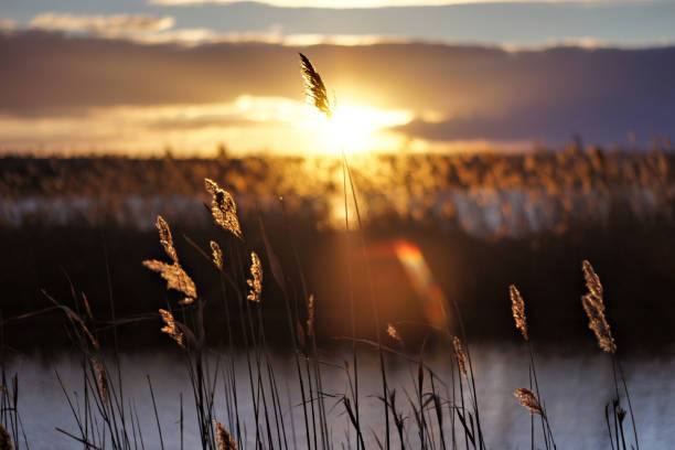 istock Sunset on the Lake 1885133134