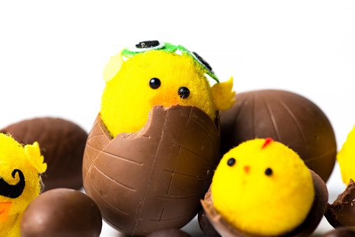 Small yellow toy chick inside of chocolate Easter eggs on white background. Easter symbols