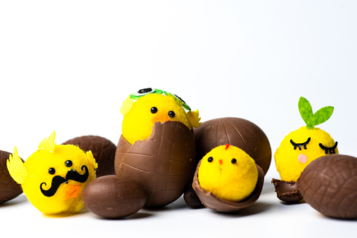 Small yellow toy chick inside of chocolate Easter eggs on white background. Easter symbols