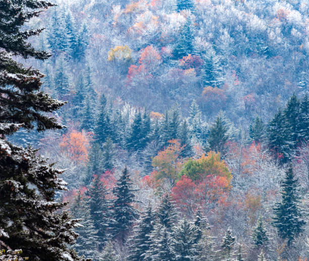 istock Fall and Winter Mix in Pisgah National Forest 1885250855