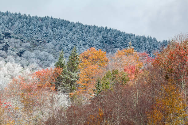 istock Fall and Winter Mix in Pisgah National Forest 1885257067