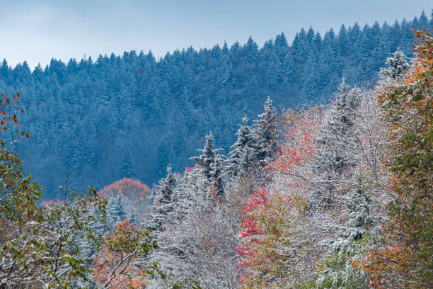 istock Fall and Winter Mix in Pisgah National Forest 1885258616