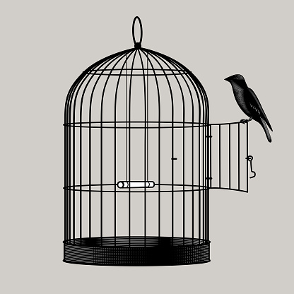 Bird perched on the open door of a birdcage. Vintage engraving black and white stylized drawing. Vector illustration