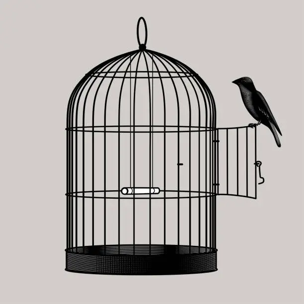 Vector illustration of Engraved vintage drawing of a bird perched on the open door of a birdcage