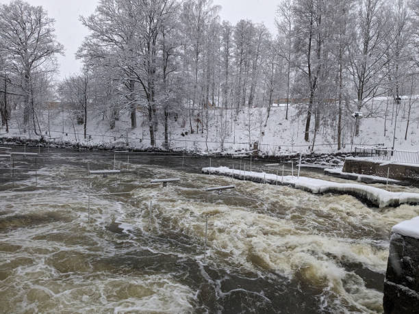 istock View of a river through forest at winter 1885270638