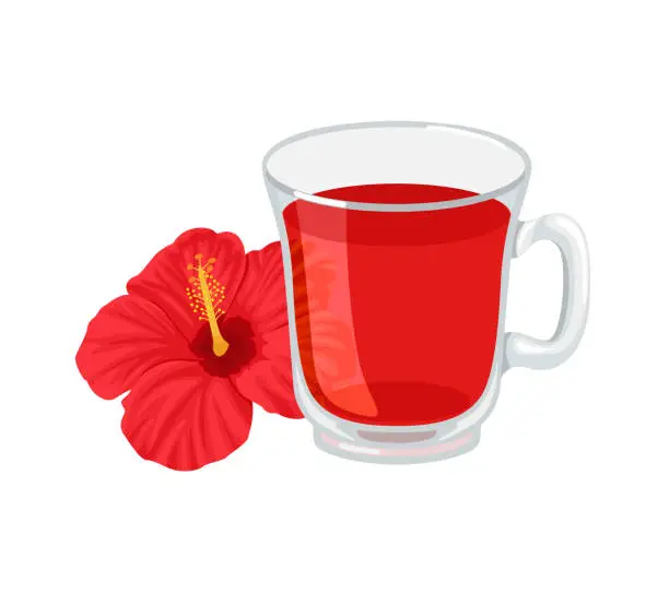 Vector illustration of Hibiscus tea in glass cup. Vector cartoon flat illustration of healthy hot drink and red flower.