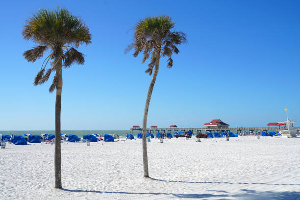 istock landscape of beach view with palm tree 1885334694