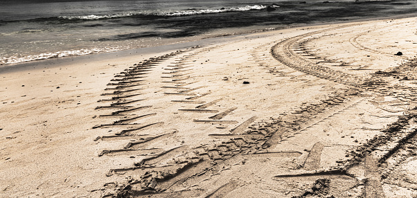 Millions of fine sand particles footprinted beautiful patterns.