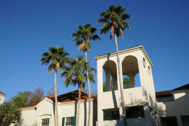 istock apartment buildings with palm tree in tropical area 1885394770