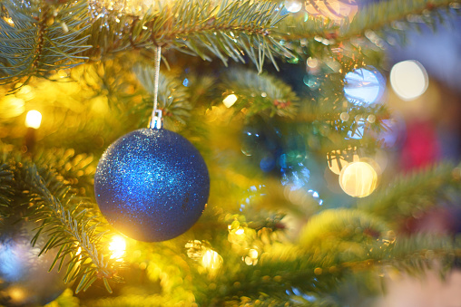 Close up view of Christmas balls on outdoor live Christmas trees with bokeh effect.