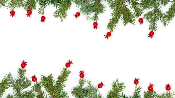 istock new years concept pine leaf and pomegranate on white 1885427018