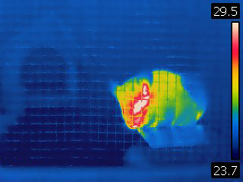 Image taken with Flir T420 infra red camera. Each color represents different temperatures, as is shown on spectrum scale on right side of image.