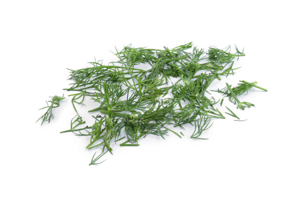 istock Pile of fresh green dill isolated on white 1885434818