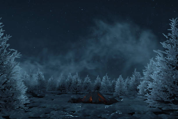 3d rendering of snowy pine trees and snow dust at night