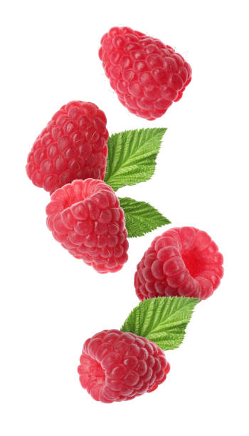istock Fresh ripe raspberries and green leaves falling on white background 1885452140