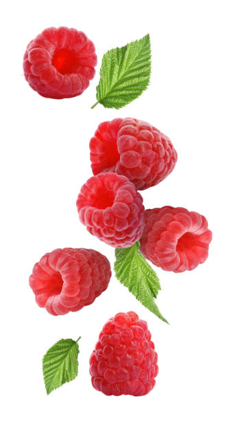 istock Fresh ripe raspberries and green leaves falling on white background 1885454265