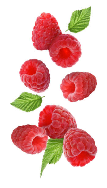 istock Fresh ripe raspberries and green leaves falling on white background 1885454271