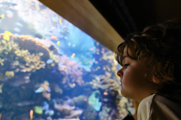 istock Preteen boy looking at large aquarium 1885458036
