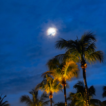 Sunset, view of Sunset y Island from Mallory Square, Key West, Florida, US.