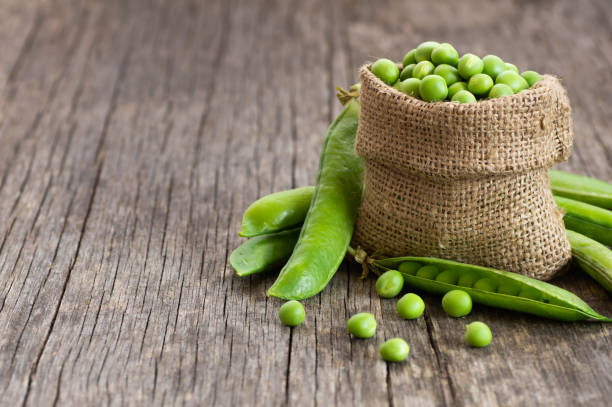 fresh green peas with pod in burlap sack on wooden  background, healthy green vegetable or legume ( pisum sativum ) - green bean bean pod nobody imagens e fotografias de stock