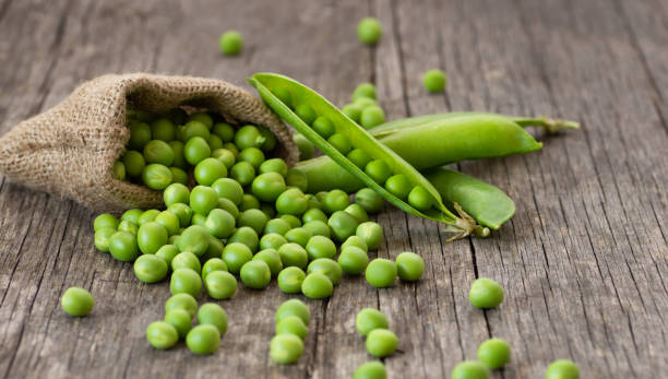 fresh green peas with pod in burlap sack on wooden  background, healthy green vegetable or legume ( pisum sativum ) - green bean bean pod nobody imagens e fotografias de stock