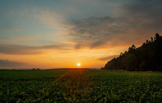 istock Nature landscapes southern Sweden - Part 2 1885501309