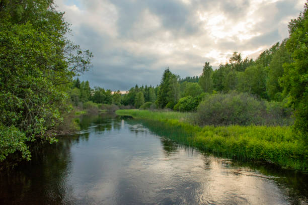istock Nature landscapes southern Sweden - Part 2 1885501332