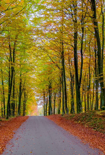 istock Nature landscapes southern Sweden - Part 2 1885501872
