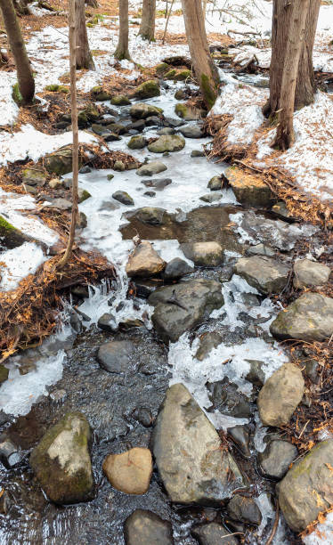 istock Pretty stream the Canadian forest 1885594076