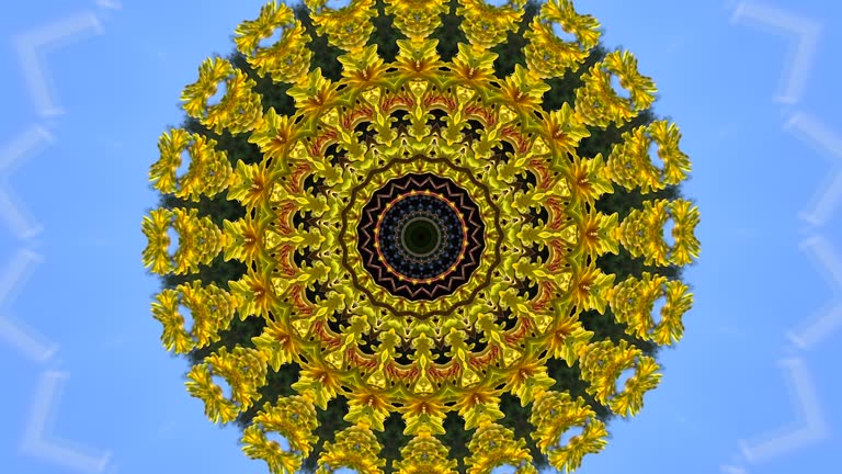 Kaleidoscope with organic flowing bouncing movement, featuring bright yellow kangaroo paw flowers blowing in the wind against a clear blue sky