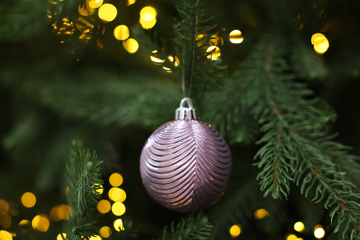Beautiful Christmas ball hanging on fir tree branch, closeup