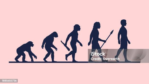 Evolution Of Man Vector Illustration Stock Illustration - Download ...