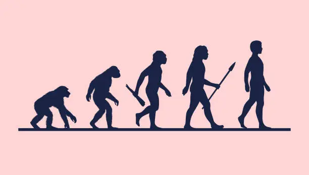 Vector illustration of Evolution of man vector illustration