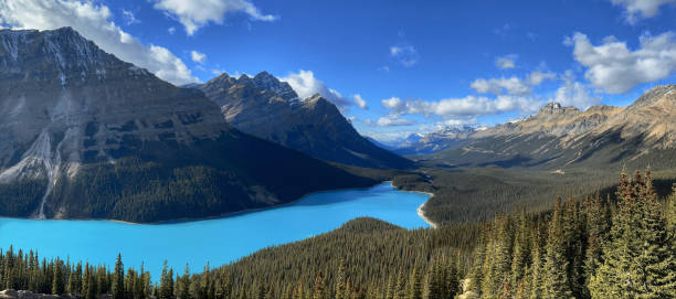 Panoramic wide shot of Canada's majestic Peyto Lake and Caldron Peak in Banff National Park